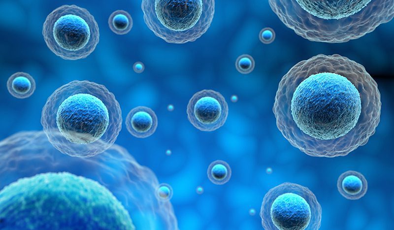 Optimizing Cell Health